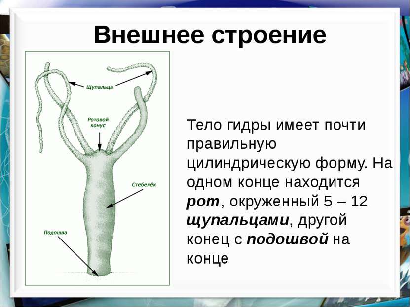 Кракен площадка нарко